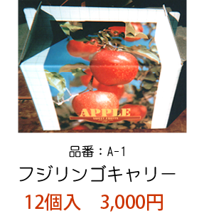 山形県産蜜入りフジリンゴ 12個入り 2,500円
